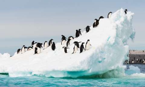 Fly & Cruise Antarctica