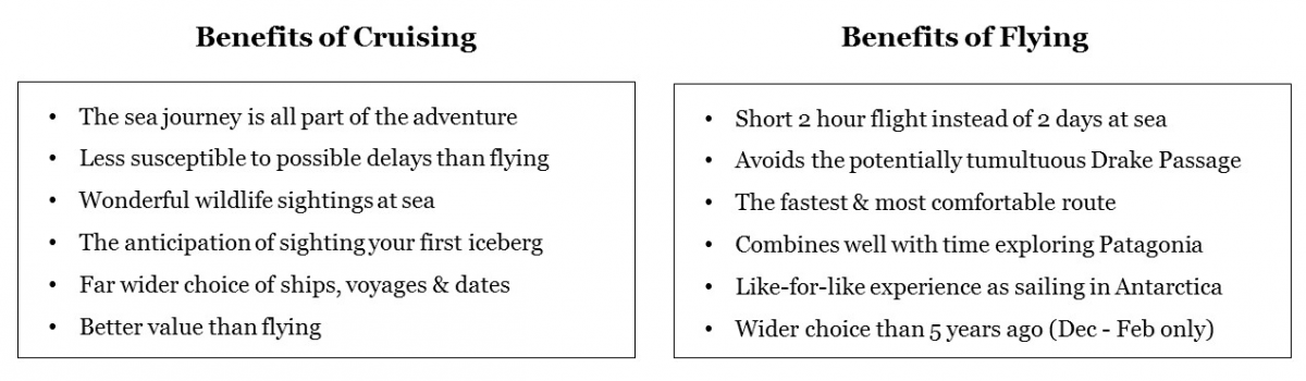 Swoop_Tips_Cruising_or_Flying