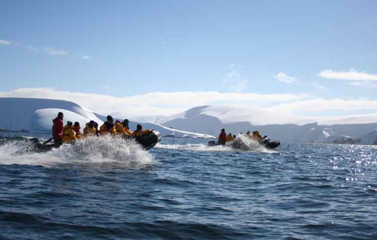 AM_3_AM_ALL_Chasing-Humpbacks-e