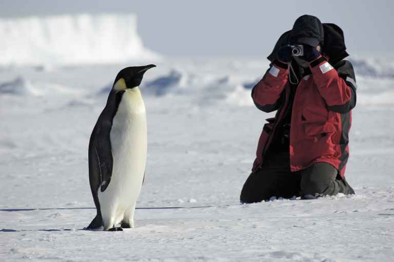 SHU_3_SHU_ALL_phoographer-penguin-antarctica