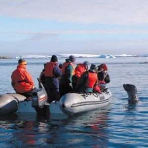 zodiac_cruising_seal