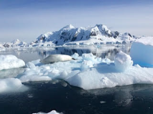 Seals love lazing on the floating ice...