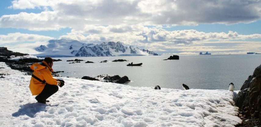 A traveller takes a moment to soak in the peaceful and expansive views across Antarctica
