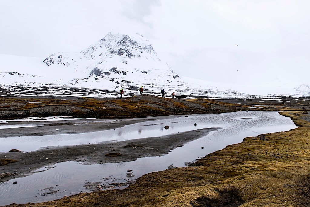 Hiking in King Haakon Bay, South Georgia