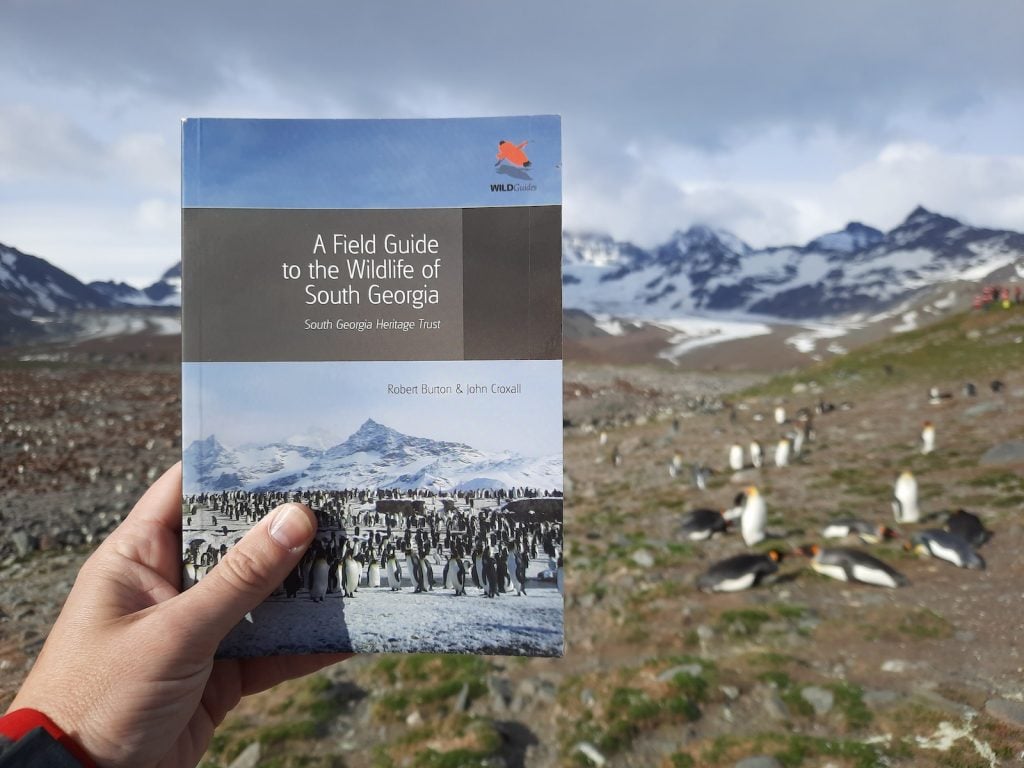 A copy of the Field Guide to the Wildlife of South Georgia being held up in front of the king penguin colony of St Andrews Bay