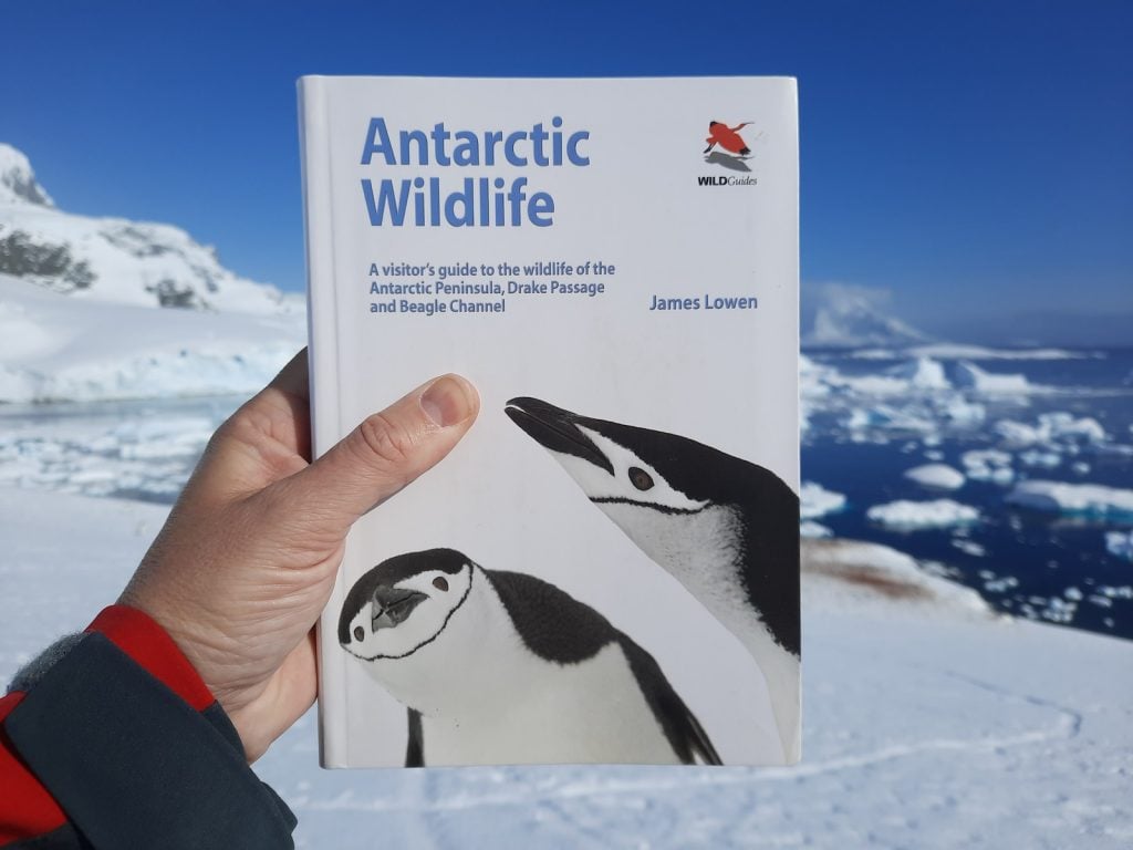 A copy of Antarctic Wildlife by James Lowen (Wild Guides) being held in front of snow and icebergs in Antarctica