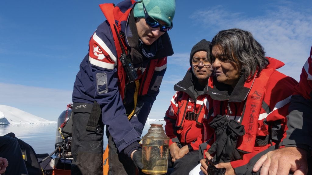 Viewing a sample on the Fjord Phyto citizen science project
