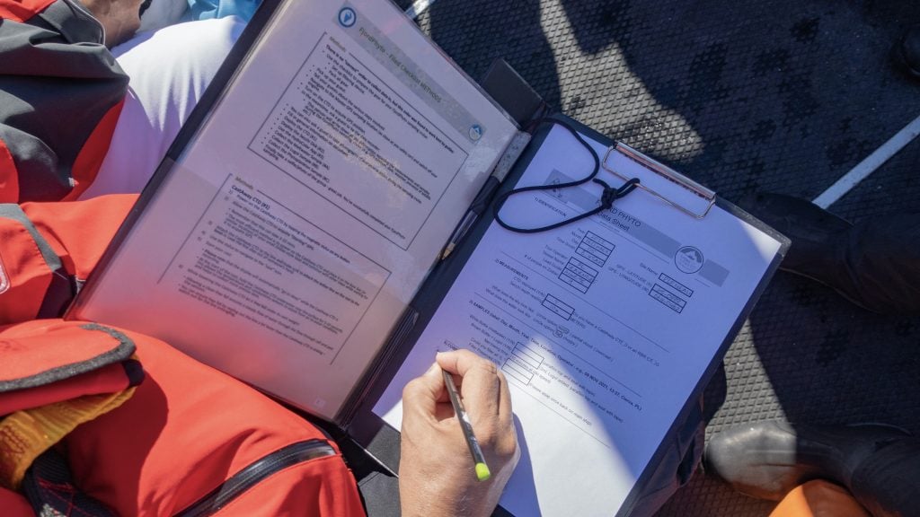 Recording data on a Fjord Phyto citizen science project