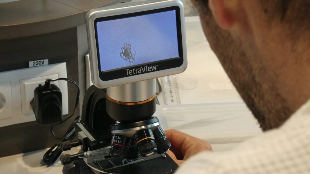 Viewing phytoplankton under a microscope