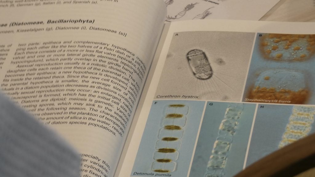 Photo of a phytoplankton identification guide
