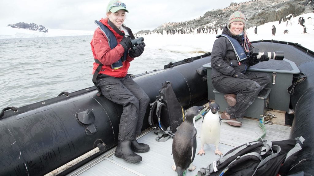 Two scientists and two adelie penguins in a zodiac