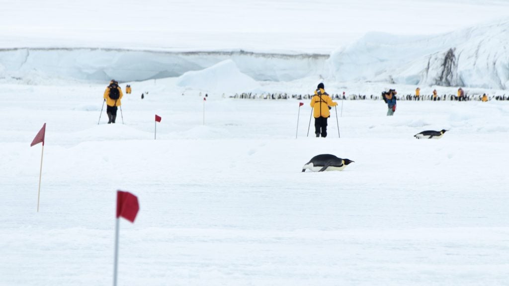 Tourists at the emperor penguin colony at Snow Hill in Antarctic