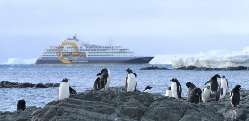 Discover more about Antarctic Peninsula cruises