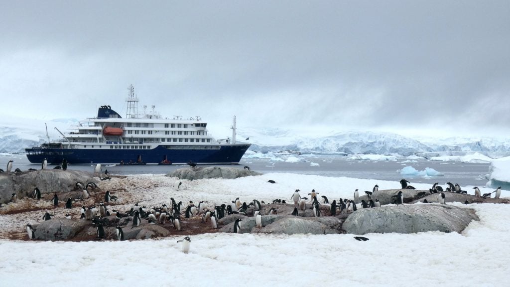 Hondius cruise ship in Antarctica