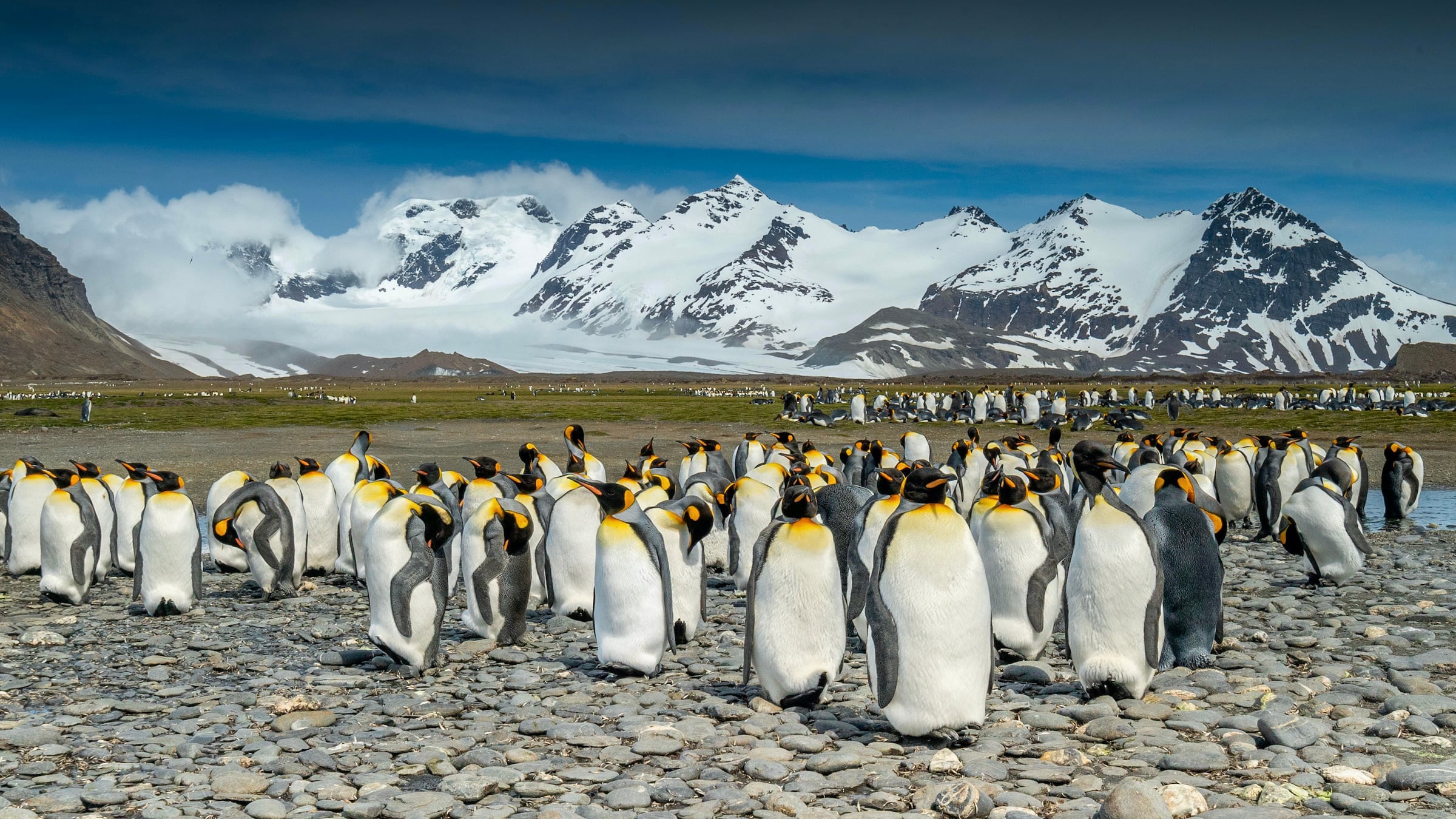 The 10 Best Places to Visit in South Georgia - Swoop Antarctica Blog