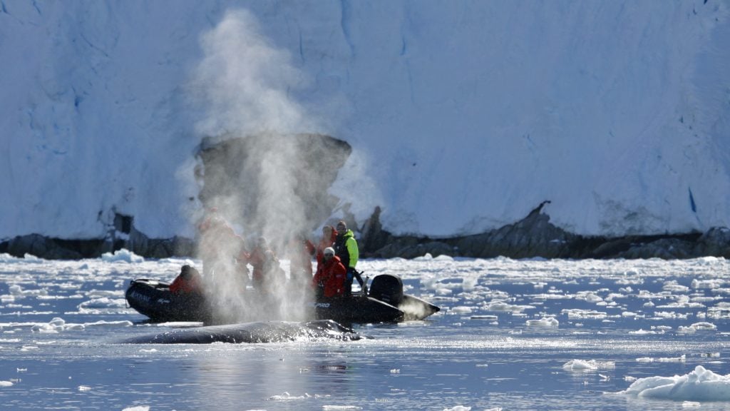 Zodiac next to Humpback whale in Antarctica