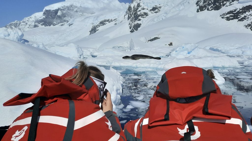 Watching a leopard seal in Antarctica
