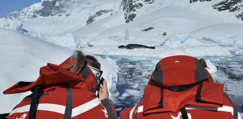 Watching a leopard seal in Antarctica