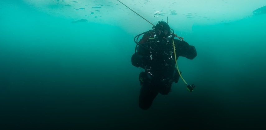 Discover more about diving in Antarctica